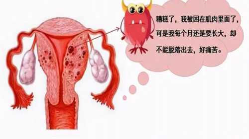 北京有代怀价格|32岁去北京朝阳医院做供卵试管生男女成功率有多高？