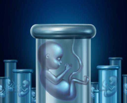 北京助孕价格美元多少,北京协和医院生殖中心试管冻囊胚移植成功率高吗？